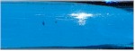 Aquamarine Blue
